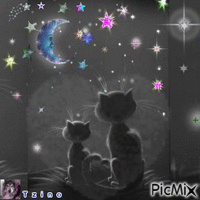 Under the stars Animated GIF