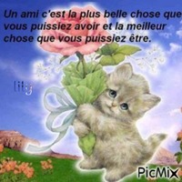 le chat  fleure - Бесплатный анимированный гифка