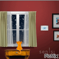Cat looking out window Gif Animado
