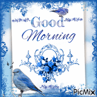 Good morning, blue, birds