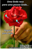 Uma rosa para você! - Animovaný GIF zadarmo