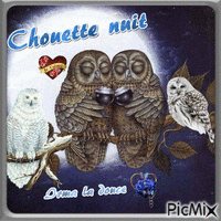 Chouette nuit анимирани ГИФ