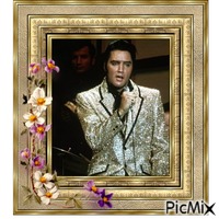 Elvis Presley animerad GIF