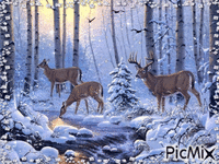 Зимний лес - GIF animé gratuit