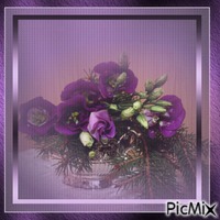 Bild mit lila Blumen animēts GIF
