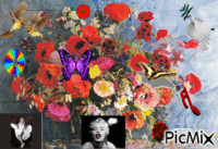 bouquet de fleurs..ts droits rèservés - GIF animé gratuit