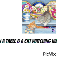 A table cat - Ilmainen animoitu GIF