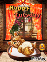 Happy Tuesday GIF animasi