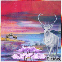 cerf ........... - Free animated GIF