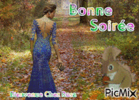 Bonne Soirée анимирани ГИФ