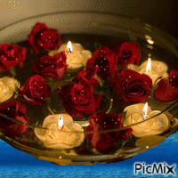 pecera de flores animált GIF