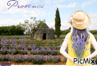 lavender GIF animasi