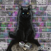 CAT DICE - 免费动画 GIF