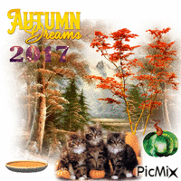 Autumn Dreams 2017 animovaný GIF