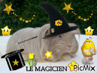 LE MAGICIEN アニメーションGIF