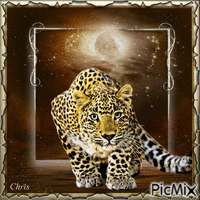Le léopard - GIF animado gratis