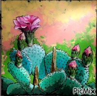 Cactus Art - png ฟรี