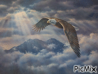 vultur - 無料のアニメーション GIF