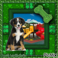 {Dog at a Playpark in Green} アニメーションGIF