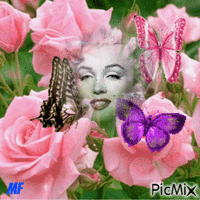une femme parmi les roseset papillons animovaný GIF