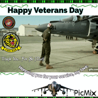 Happy Veterans Day GIF animado