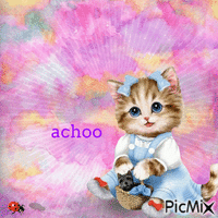 achoo - Gratis geanimeerde GIF