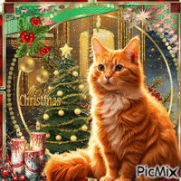 merry christmas for my dear catlover - GIF animé gratuit