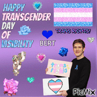 Happy Transgender Day of Visibility Bert animirani GIF
