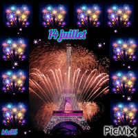 14juillet  feux d'artifices Animated GIF
