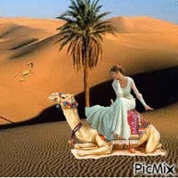 Femme dans le désert GIF animé