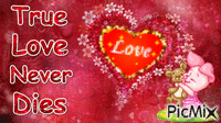True Love Never Dies - Nemokamas animacinis gif