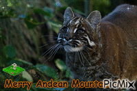 Merry Andean Mountain Cat - GIF animado gratis