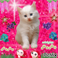 gato blanco GIF animé