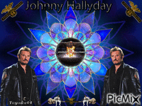 Johnny-Hallyday   "Tour-66" - Zdarma animovaný GIF