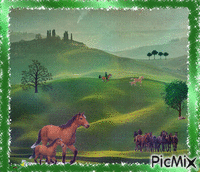 les chevaux Animated GIF
