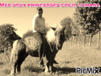 mesdeux princesse - GIF animate gratis