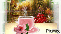 cafe rosa - 免费动画 GIF