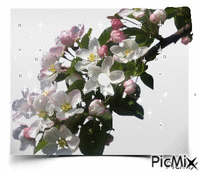 весна1 - Δωρεάν κινούμενο GIF