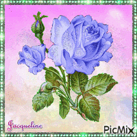 jolie rose scintillante - GIF animé gratuit