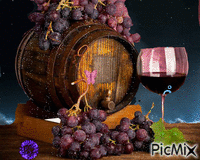 vin animasyonlu GIF