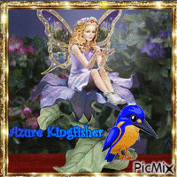 azure kingfisher - Gratis animeret GIF