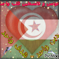 تونس وفلسطين - Gratis animerad GIF
