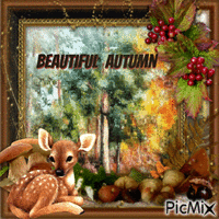 Beautiful  autumn