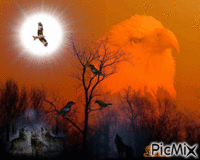 aigle - Zdarma animovaný GIF