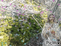 Vierge Marie et Calvaire Modra animirani GIF