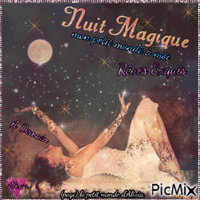 Nuit  magique Animated GIF