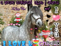 le cheval ♥ - GIF animate gratis