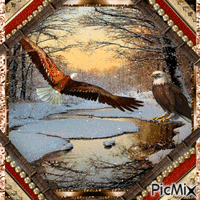 winter eagle