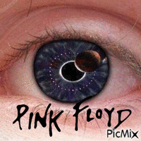 pink floyd GIF animata