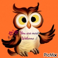 most welcome owl animovaný GIF